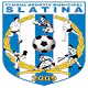 CSM Slatina