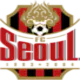 FC Seoul (virtual_15)